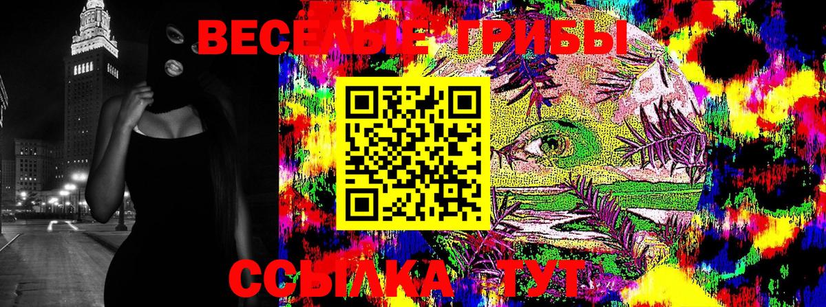 Усинск  Псилоцибиновые грибы Cubensis  Вход с VPN 